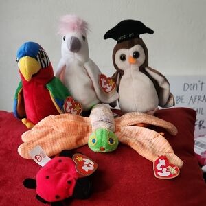 Colorful Plush Toy Set for Small Pets